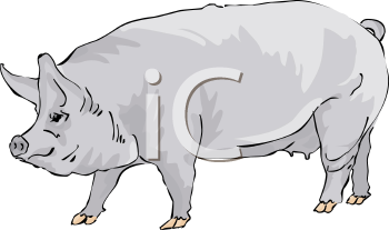 Farm Animal Clipart