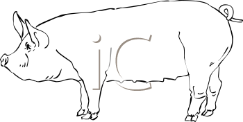 Farm Animal Clipart