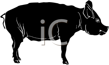 Farm Animal Clipart
