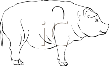 Farm Animal Clipart