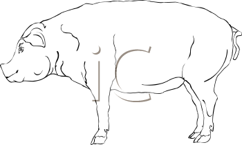 Farm Animal Clipart
