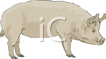 Farm Animal Clipart