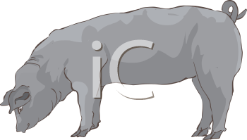 Farm Animal Clipart