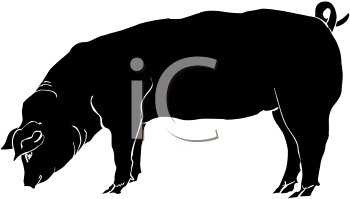 Farm Animal Clipart