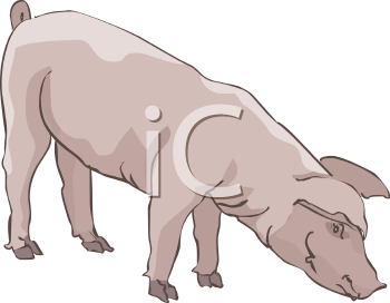Farm Animal Clipart