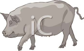 Farm Animal Clipart