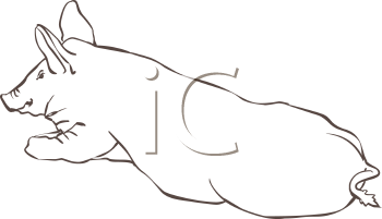 Farm Animal Clipart