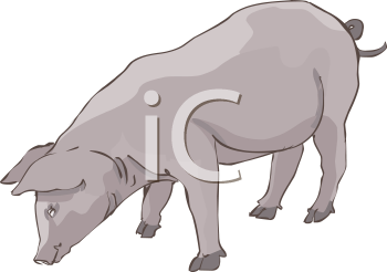 Farm Animal Clipart