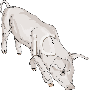 Farm Animal Clipart