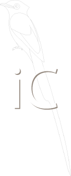 Bird Clipart