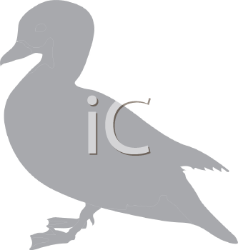 Bird Clipart