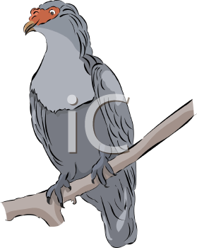 Bird Clipart