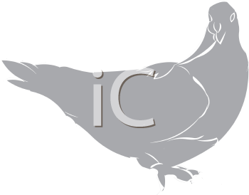 Bird Clipart
