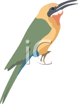 Bird Clipart