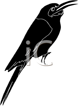 Bird Clipart