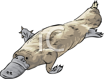 Aquatic Animals Clipart
