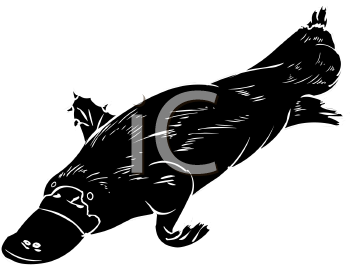 Aquatic Animals Clipart