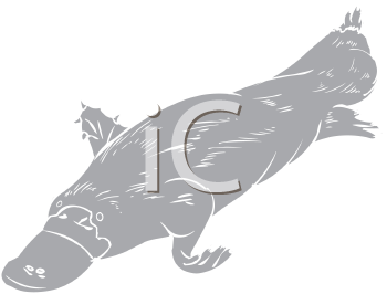 Aquatic Animals Clipart