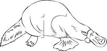 Mammal Clipart