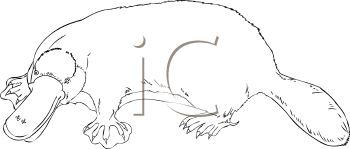 Mammal Clipart