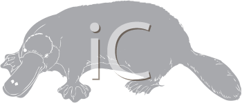 Mammal Clipart