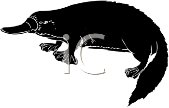 Aquatic Animals Clipart
