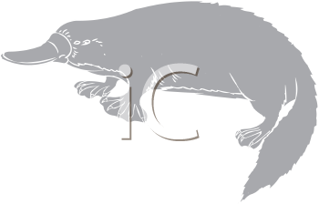 Aquatic Animals Clipart