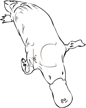 Mammal Clipart