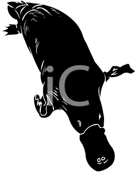 Aquatic Animals Clipart