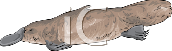 Mammal Clipart