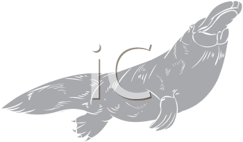 Mammal Clipart