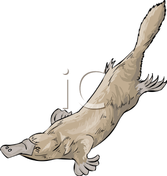 Aquatic Animals Clipart