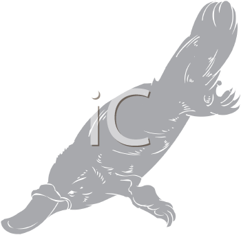 Aquatic Animals Clipart