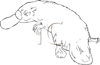 Mammal Clipart