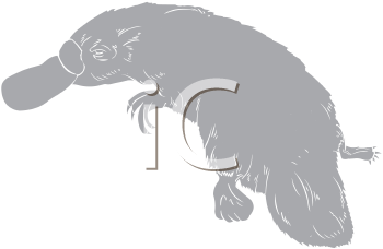 Mammal Clipart