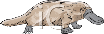 Mammal Clipart