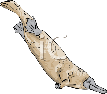 Aquatic Animals Clipart
