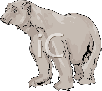 Bear Clipart