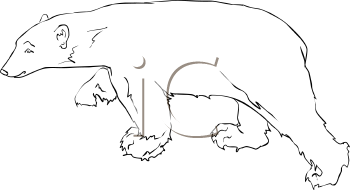 Bear Clipart