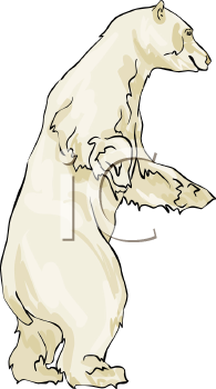 Bear Clipart