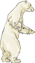 Bear Clipart