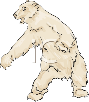 Bear Clipart
