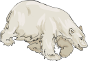 Bear Clipart