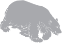 Bear Clipart