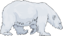 Bear Clipart