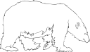 Bear Clipart