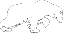 Bear Clipart