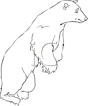 Bear Clipart