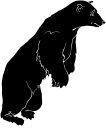 Bear Clipart