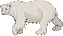 Bear Clipart